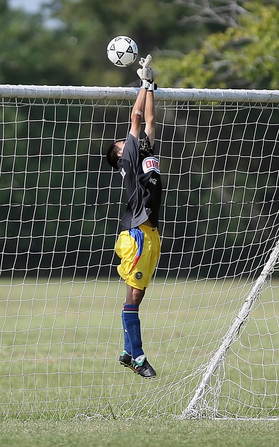 竞技项目 竞技项目