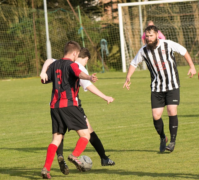 能够在激烈 能够在激烈