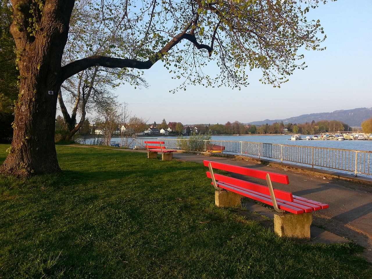 了这位葡萄 了这位葡萄