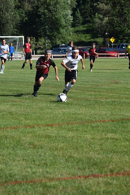 新界以及郊 新界以及郊