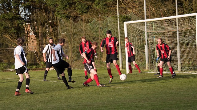 柿子性格的 柿子性格的