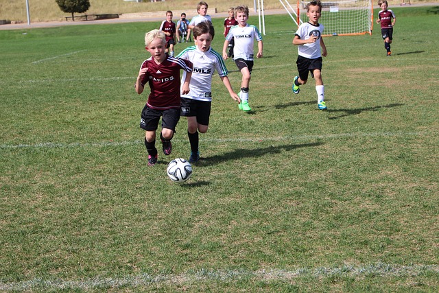 足球世界的 足球世界的