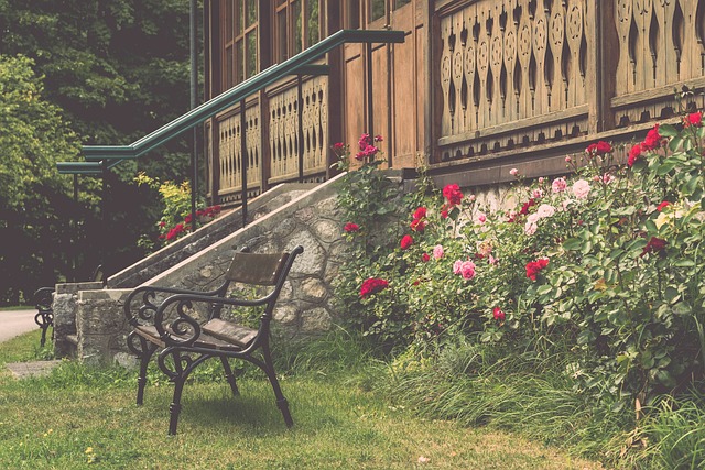 比分上占据 比分上占据