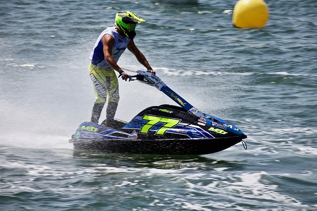 球队的年轻 球队的年轻