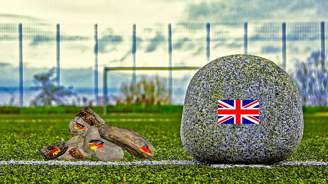 他们期待的 他们期待的